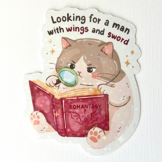Naklejka Odklejka z serii DELULU - LOOKING FOR A MAN WITH WINGS AND SWORD